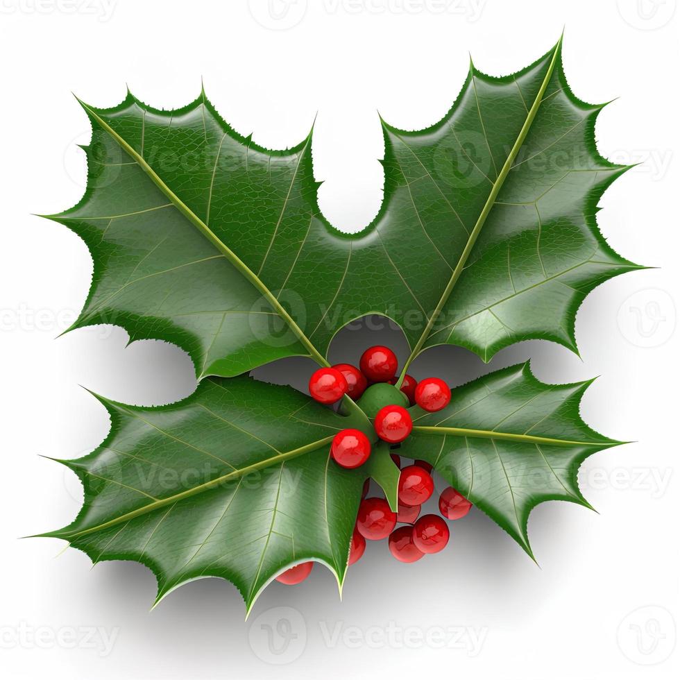 3d christmas holly leaf on isolated white background. Holiday, celebration, december, merry christmas photo