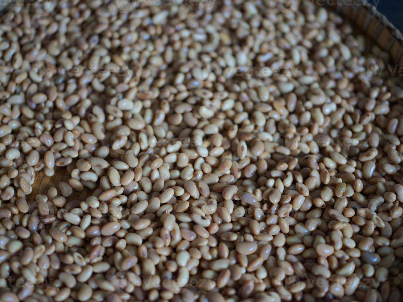 texture of soy bean for HOW to Soy Product Raw Homemade Tempeh . Concept of Healthy Vegetarian Food photo