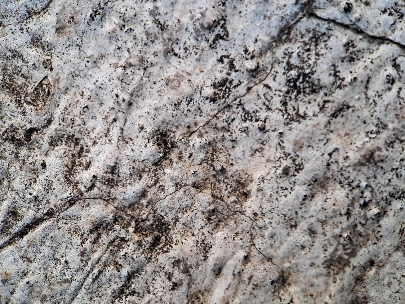 cracked texture rough wall Cement white gray wall background, suitable for displaying online products, banners, brochures photo