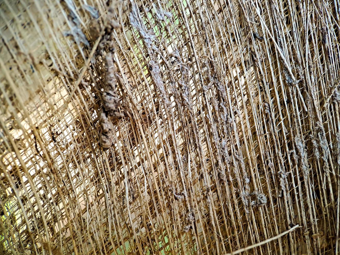 Close up of a coconut coir structure, shot on a coconut fiber tree, brown natural background for consumption and environmental production. commonly used for car seats, mattresses photo