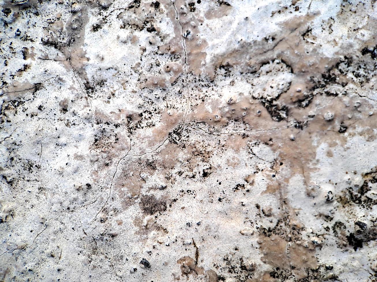 cracked texture rough wall Cement white gray wall background, suitable for displaying online products, banners, brochures photo