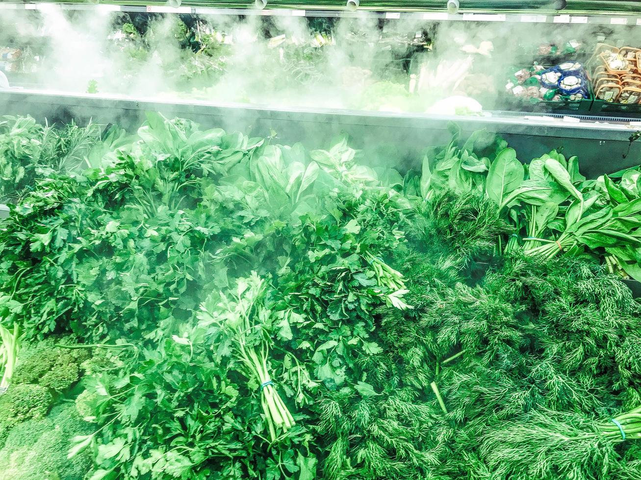 Green fresh environmentally friendly greens of parsley plants dill salad arugula onions and other plant foods with droplets of water and steam in the freshness chamber. Background, texture photo