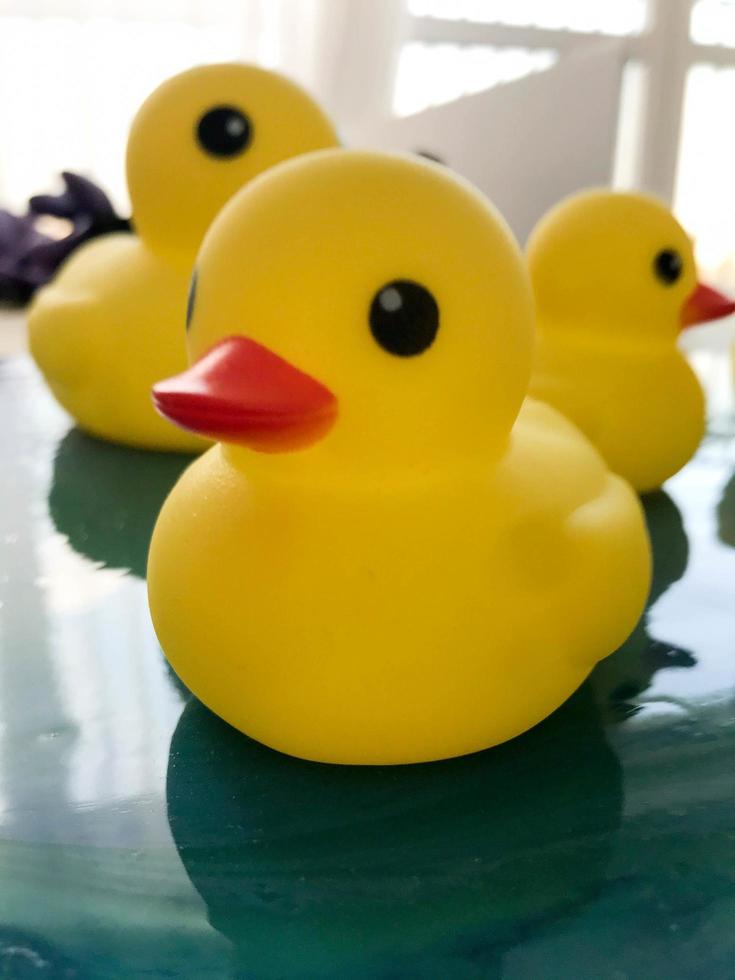 Beautiful yellow rubber bathtub toy ducks swim on a blue water background photo