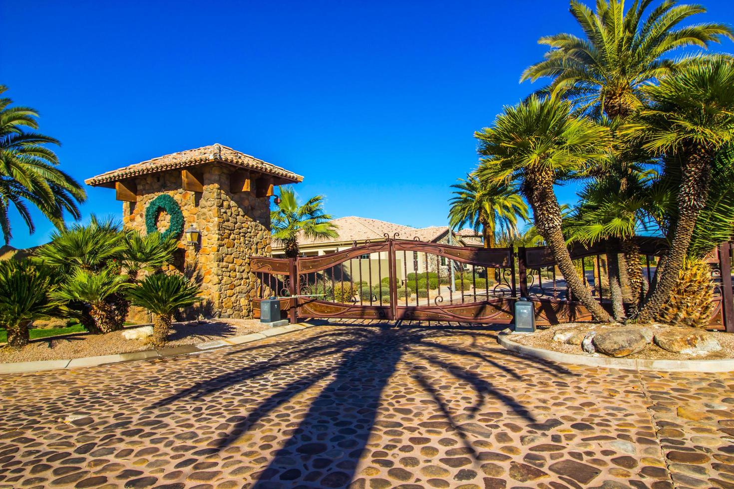 Metal Exit Gate With Variety Of Palm Trees photo