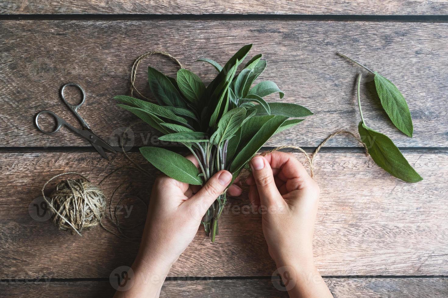 Sage leaf bundle in hands, hemp string and scissors on old wooden table photo