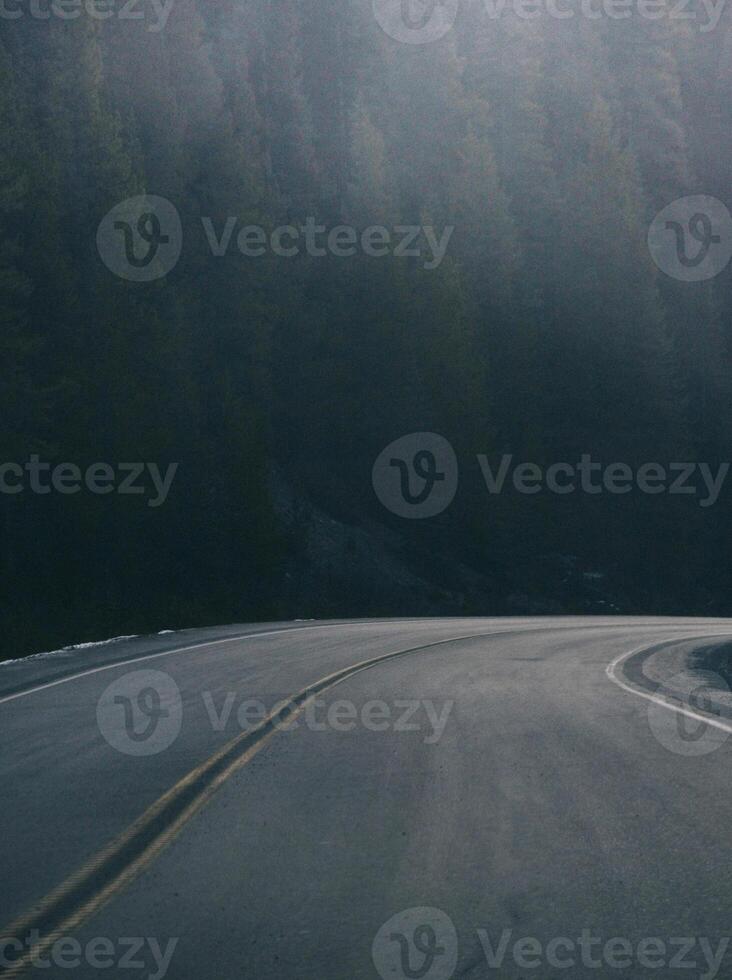 Evergreen woods above a curve in an empty asphalt road photo