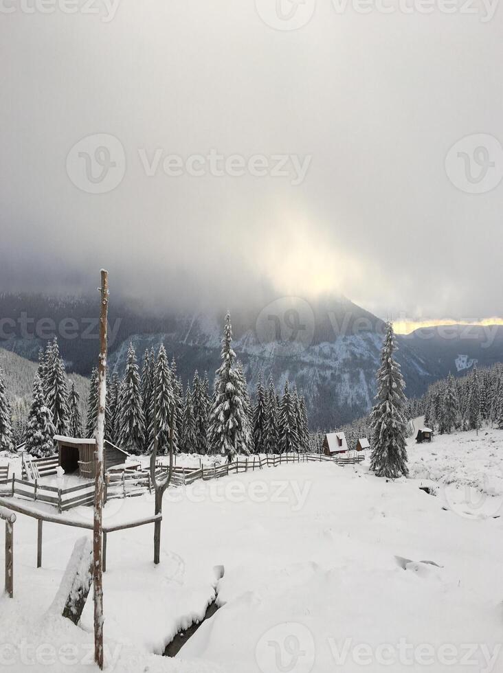 la hermosa naturaleza caída de nieve foto