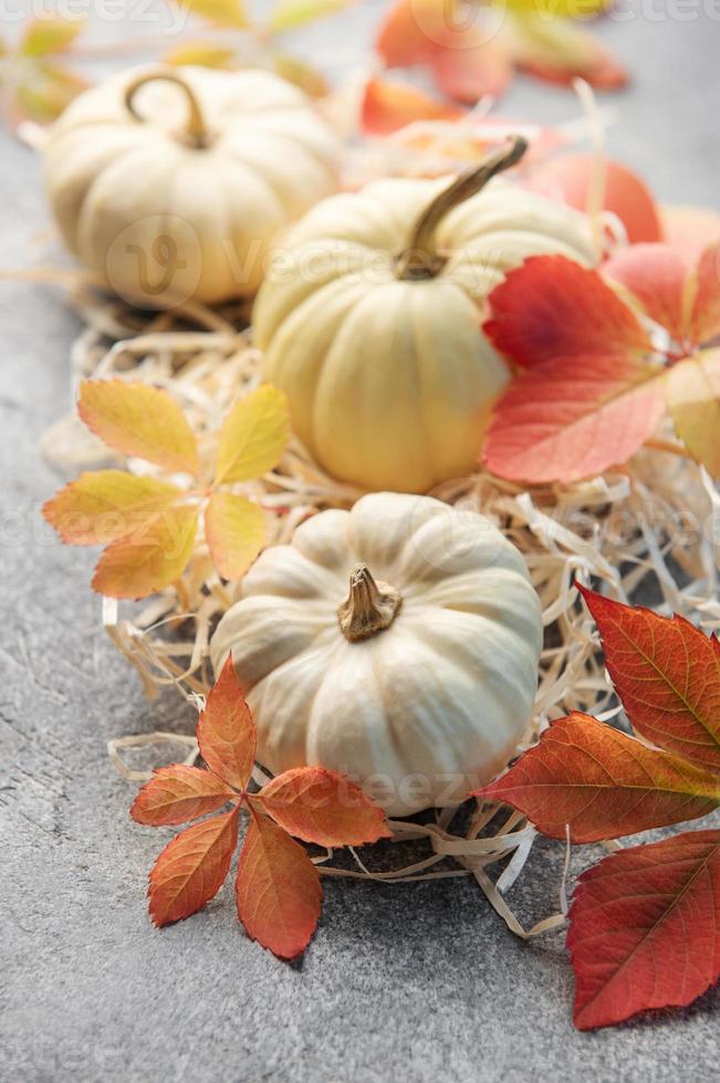 Autumn leaves and pumpkins over  grey concrete background photo