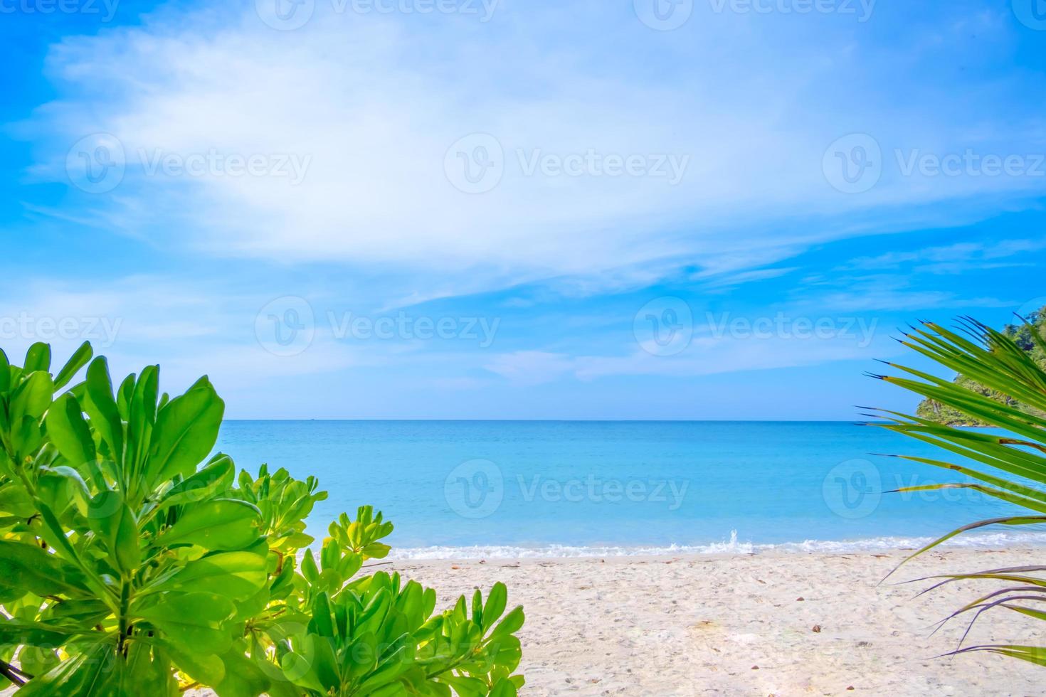 Frame of green leaves on a tropical sea beach background in Summer concept photo