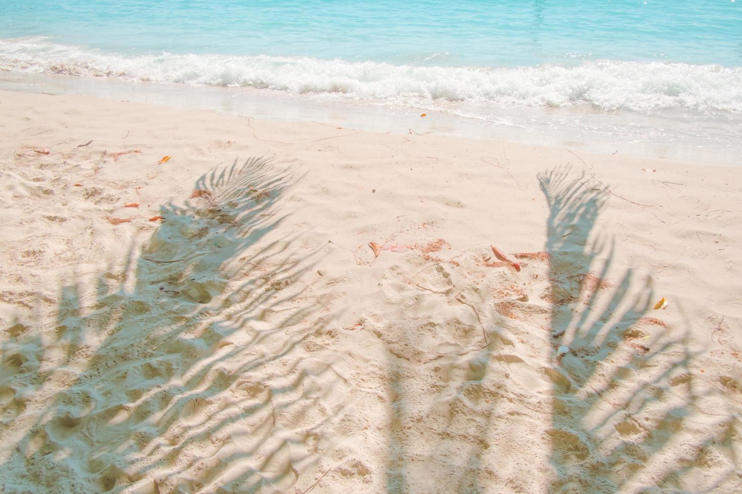 shadows palm leaf on beach texture background.summer concept photo