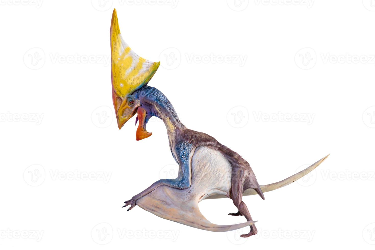 dinosaur , Tupandactylus  isolated background  clipping path photo