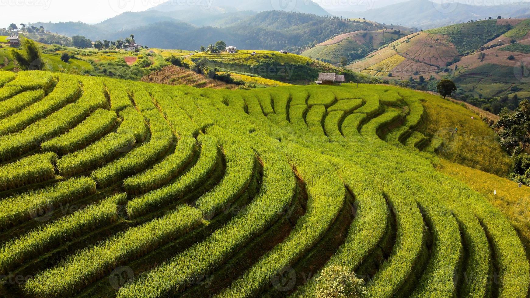 Aerial view of Rice terrace at Ban pa bong piang in Chiang mai Thailand photo