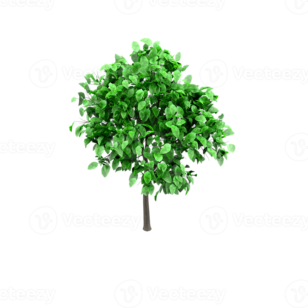 Isometric Tree 3D render png