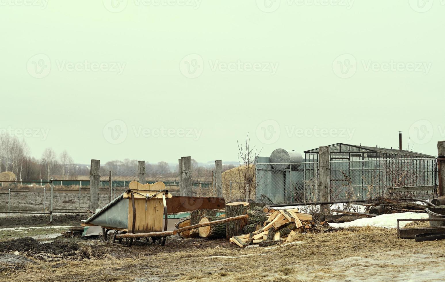 backyard of the village.Firewood on farm yard on a glade in the spring photo