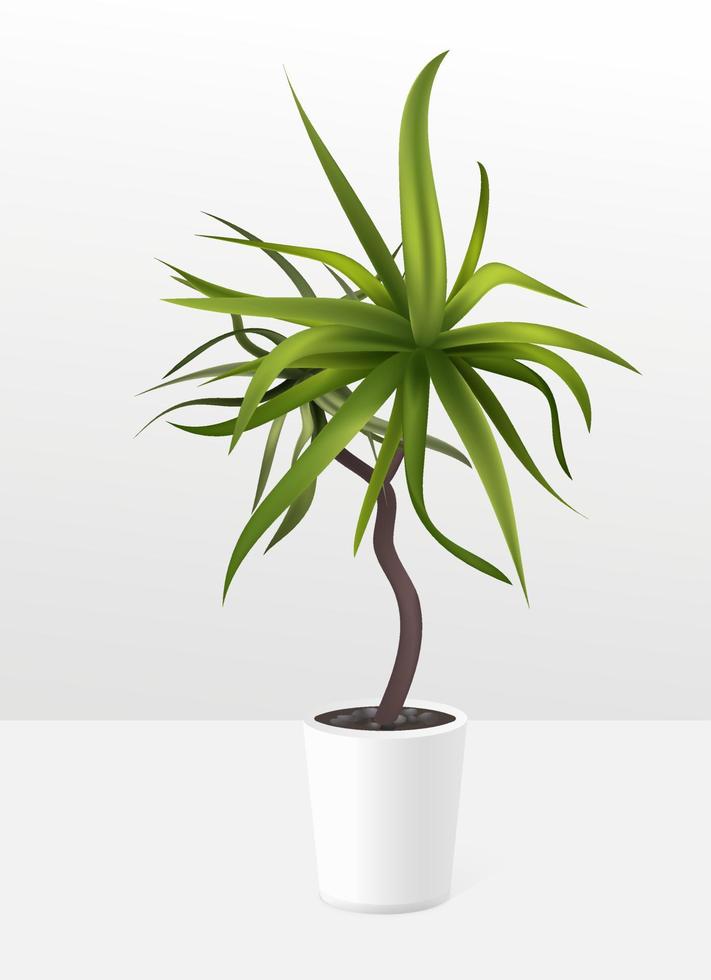 Realistic green plant in white pot in the interior. Palm tree tropical house plant. Gardening and home decoration floral concept. Vector illustration.