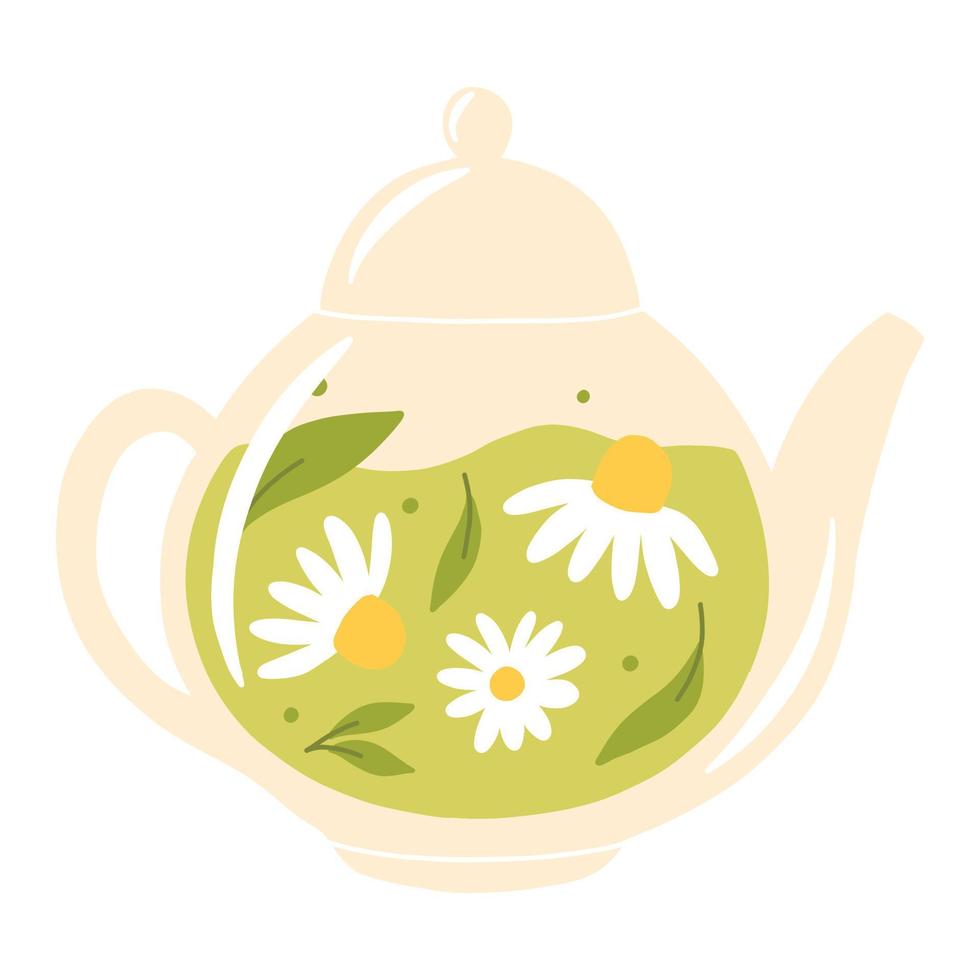 tetera con té verde y té de hierbas de manzanilla con manzanilla en una tetera de vidrio. ilustración vectorial ilustración aislada sobre un fondo blanco. estilo plano vector