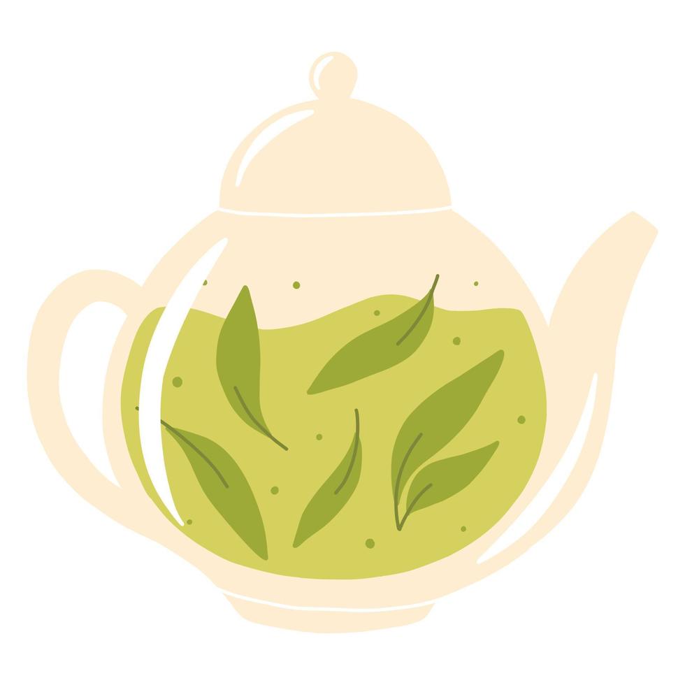 Teapot with green tea. Herbal tea in a glass teapot. Vector illustration. Isolated illustration on a white background. Flat style.