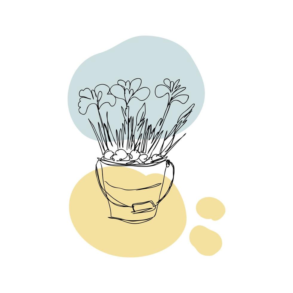 Blooming crocuses in a bucket lineart vector illustration.