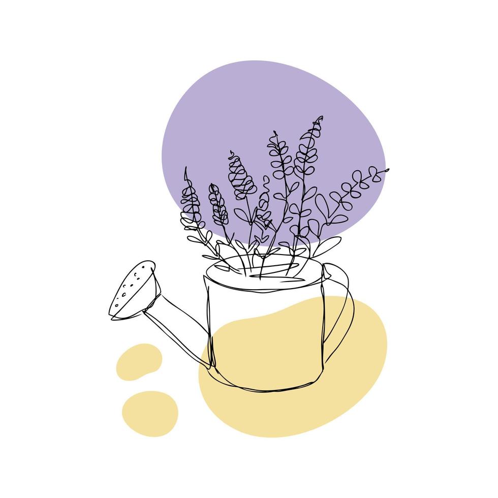 Blooming lavender in a watering can lineart vector illustration.