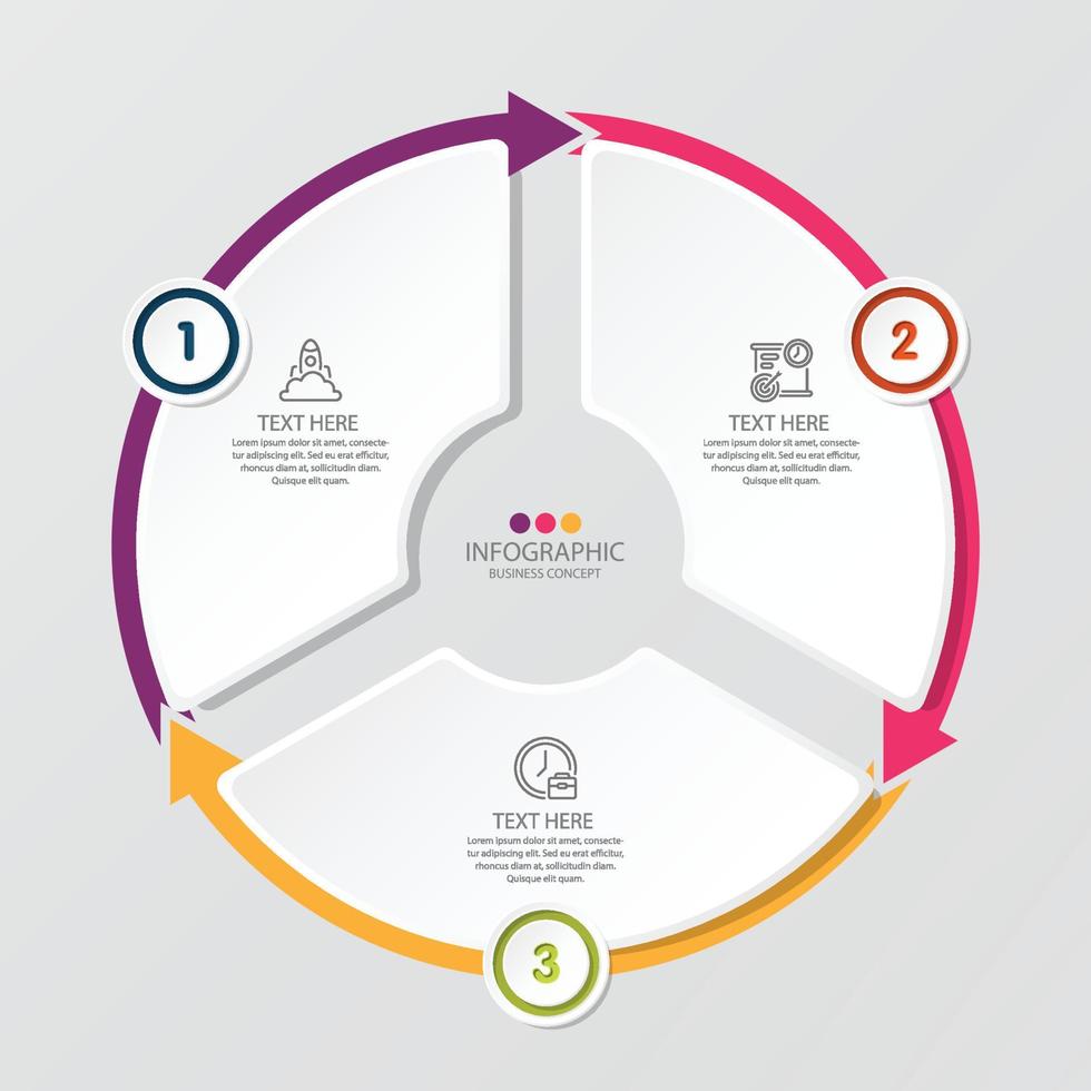 Basic circle infographic with 3 steps, process or options. vector