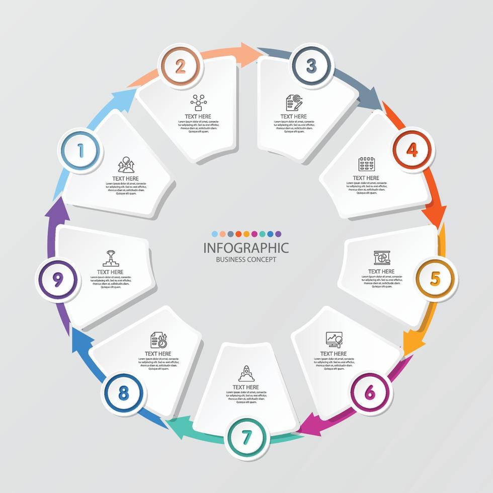 Basic circle infographic with 9 steps, process or options. vector