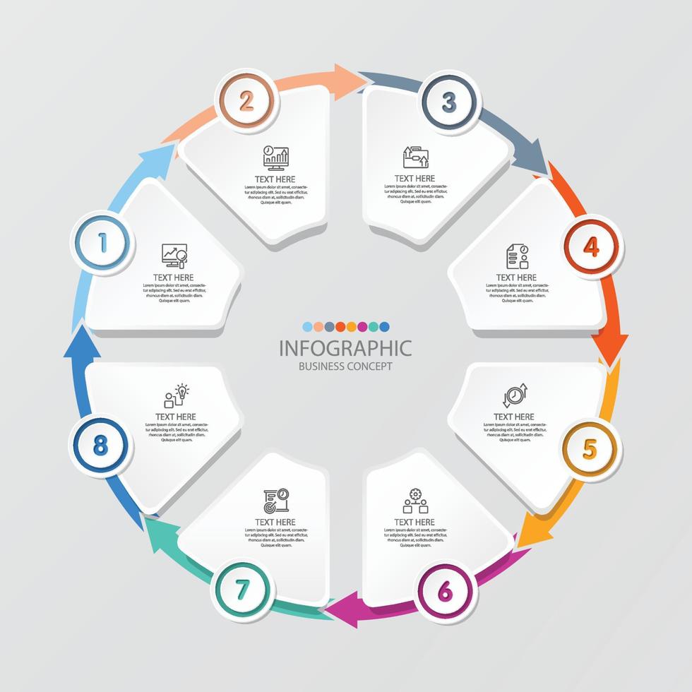 infografía circular básica con 8 pasos, procesos u opciones. vector