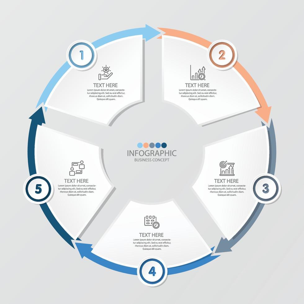 Basic circle infographic with 5 steps, process or options. vector