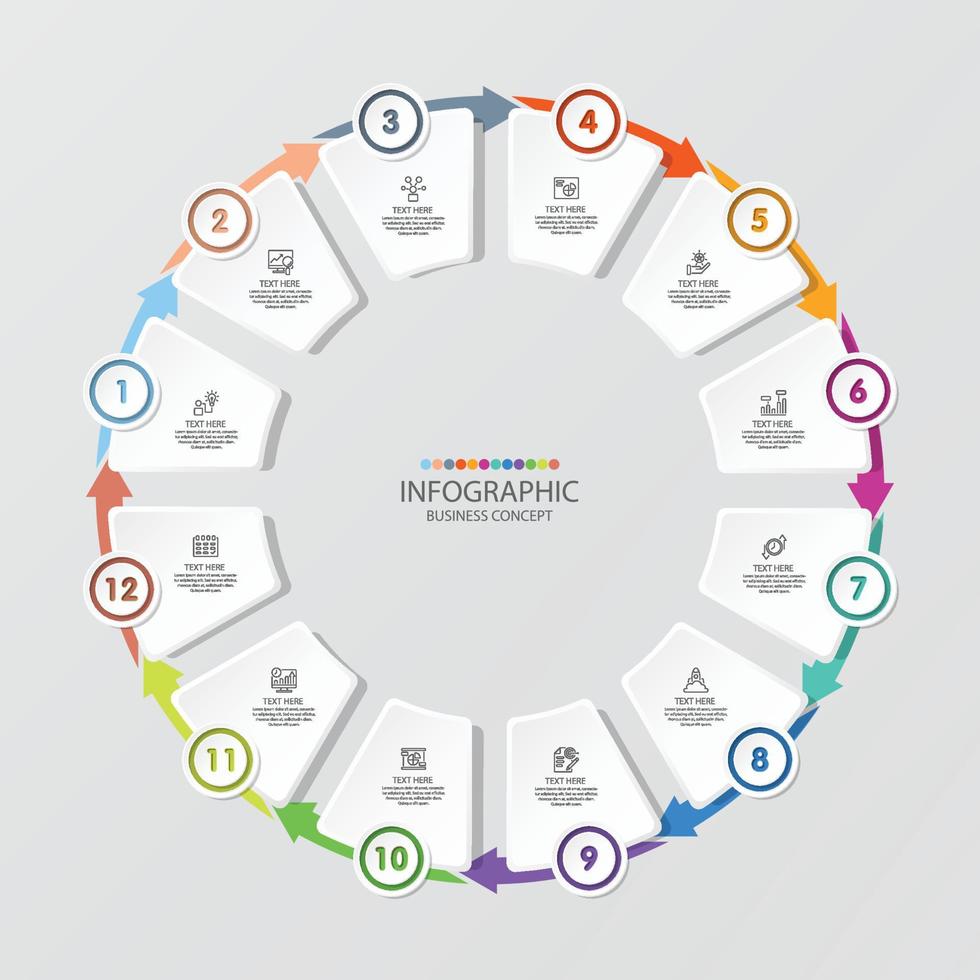 Basic circle infographic with 12 steps, process or options. vector