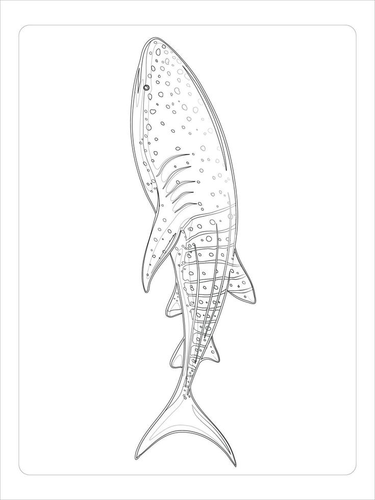 Sea Animals Coloring Page vector
