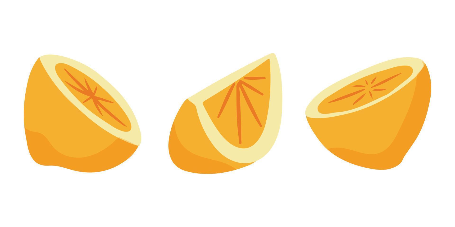 Lemon pieces. Cartoon vector illustration