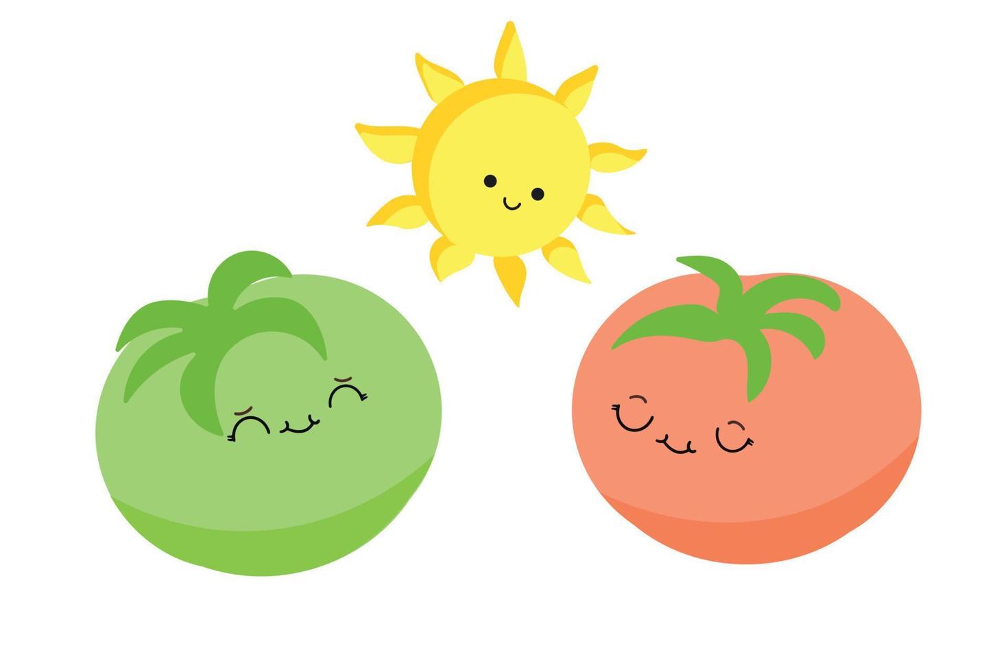 Funny tomatoes, green and red tomatoes, gardening. Vector illustration on a white background