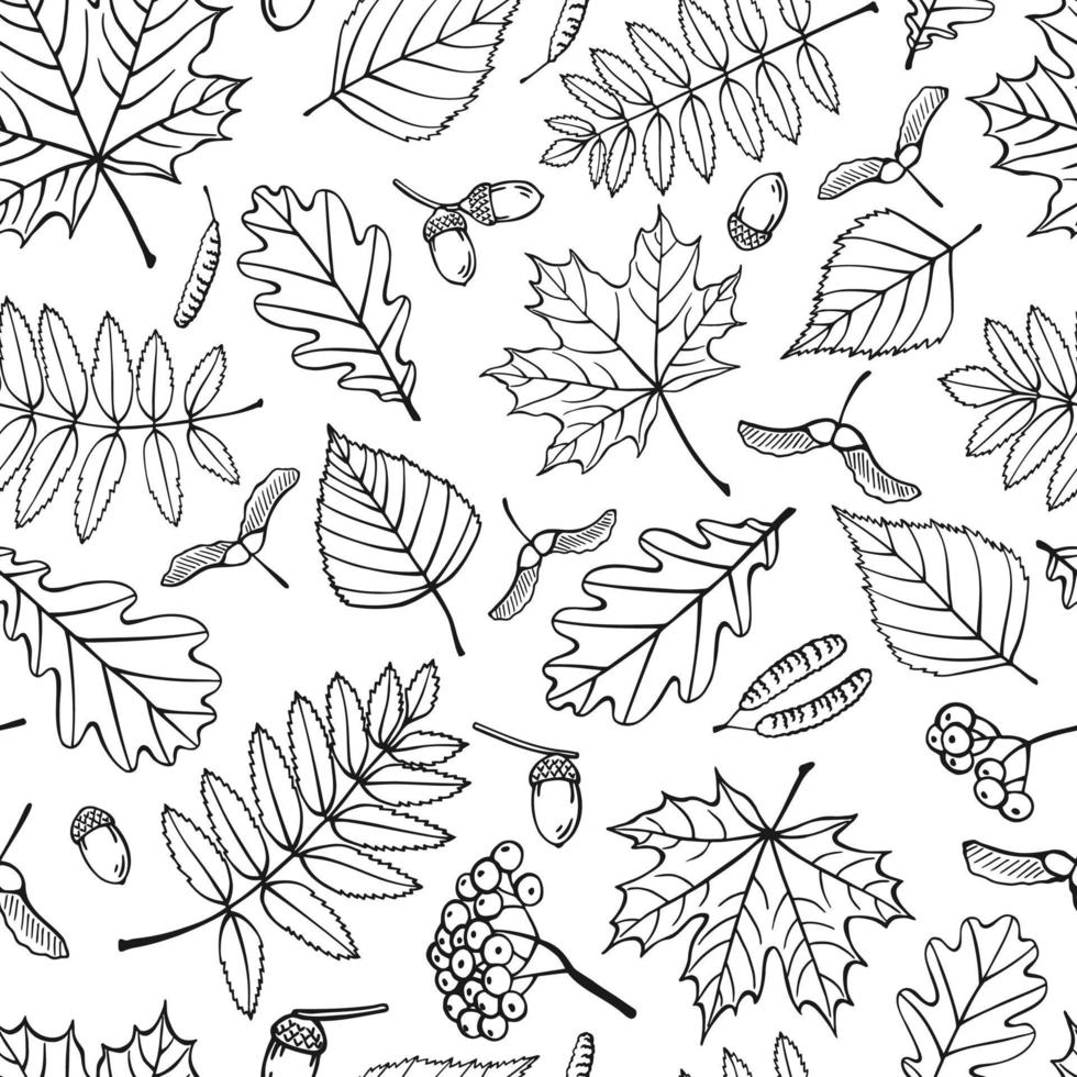 Seamless pattern with autumn leaves. Hand drawn vector illustration.