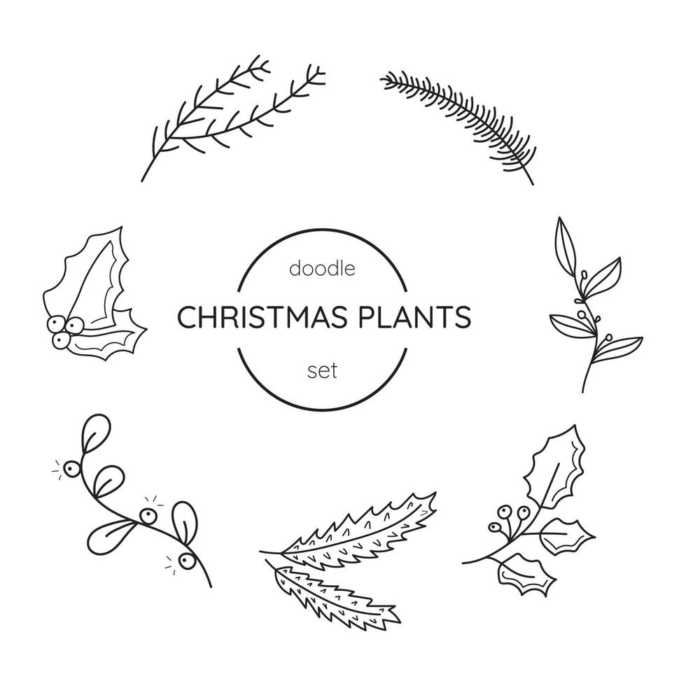 conjunto de plantas navideñas dibujadas a mano. vector