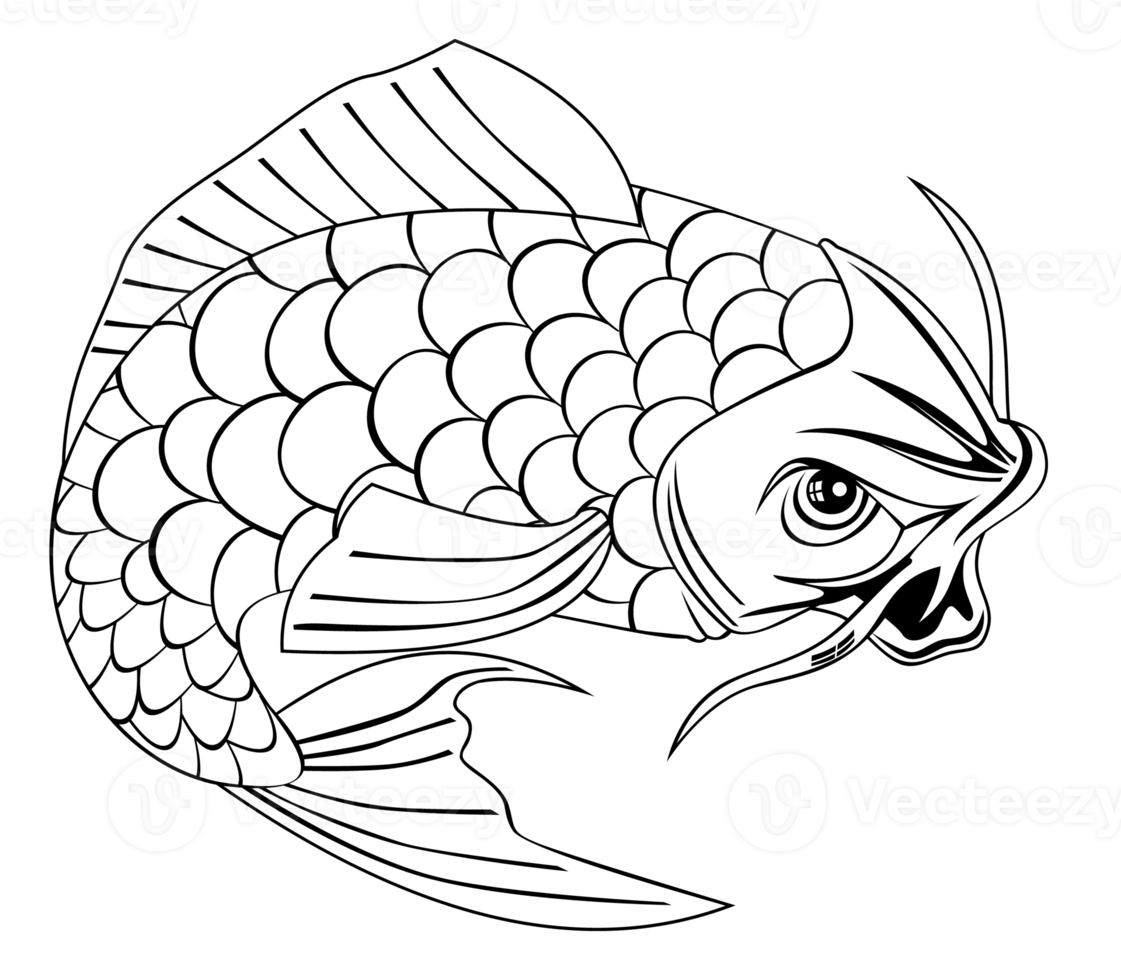 Koi Carp Fish Jumping Line Drawing png