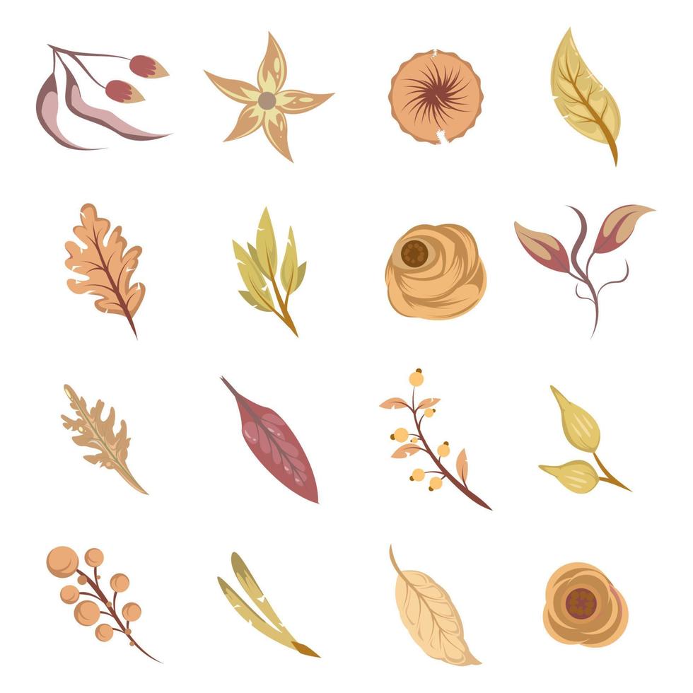 set of dried floral leaves and flowers element vector