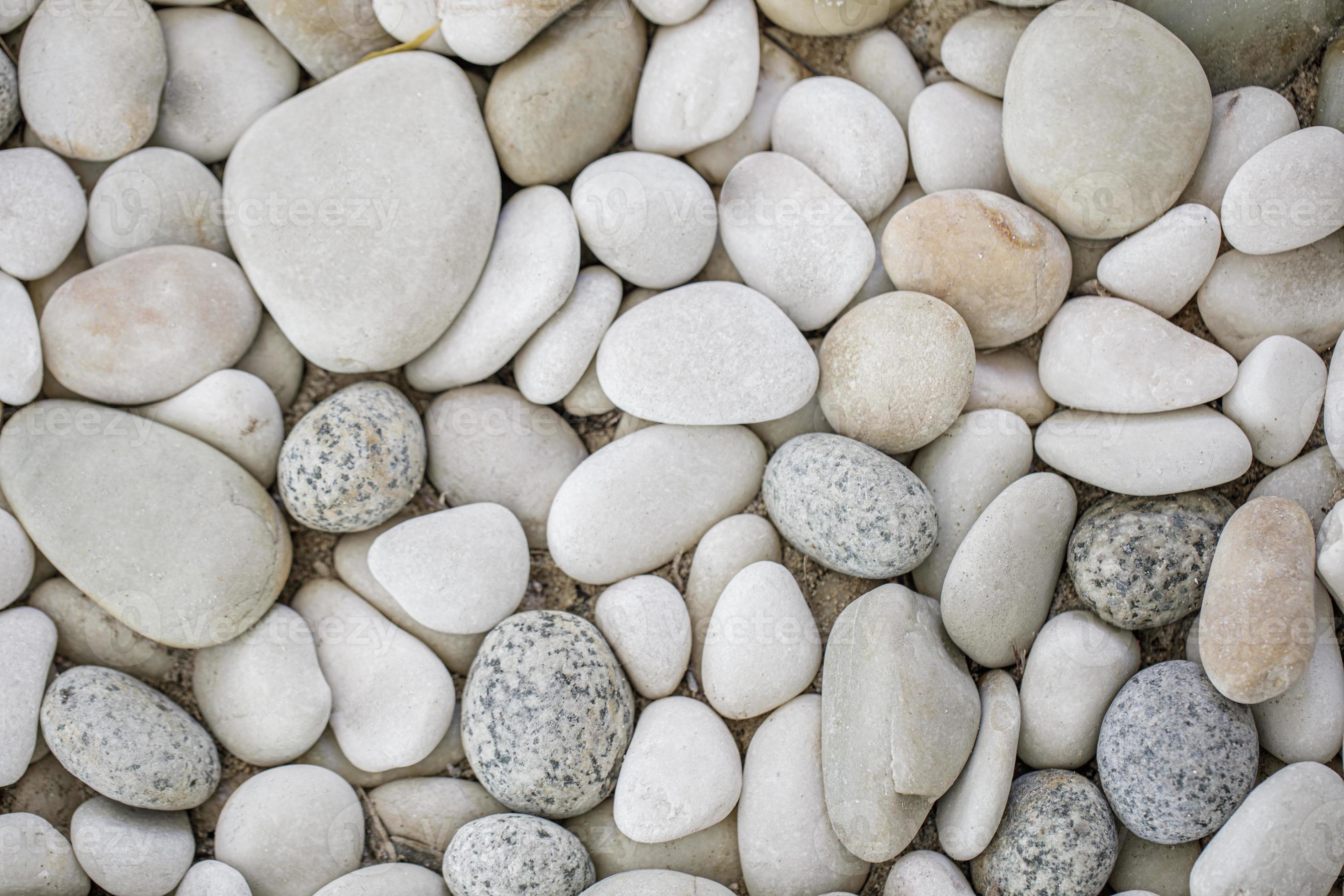 White pebbles background, simplicity, daylight, rounded stones. Natural