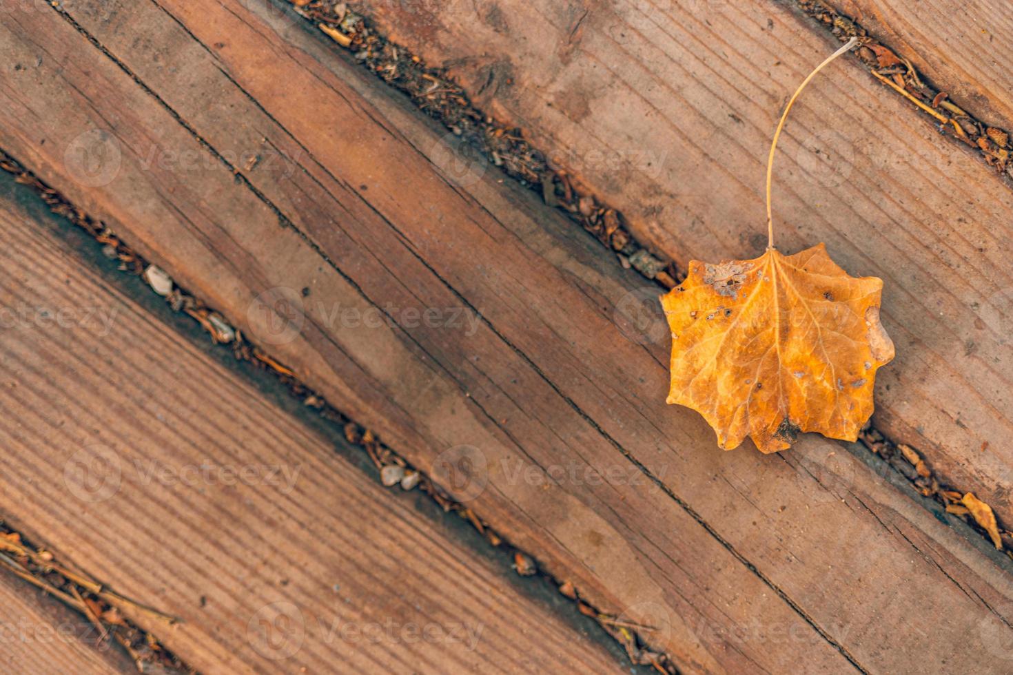 Autumn leaf on old wooden backdrop. Natural texture background. Free space for text. Rustic flat lay. Dry leaf decoration. Orange leaf texture. Fall season top view photo. Seasonal natural foliage photo