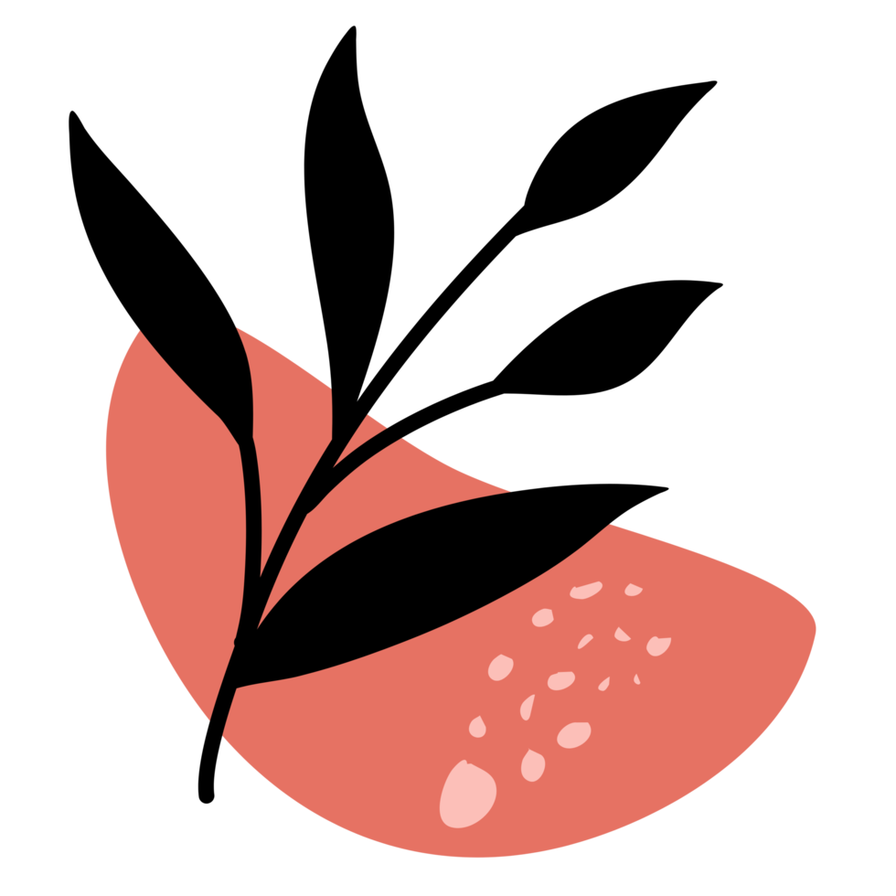 Abstract Botanical Boho Art png