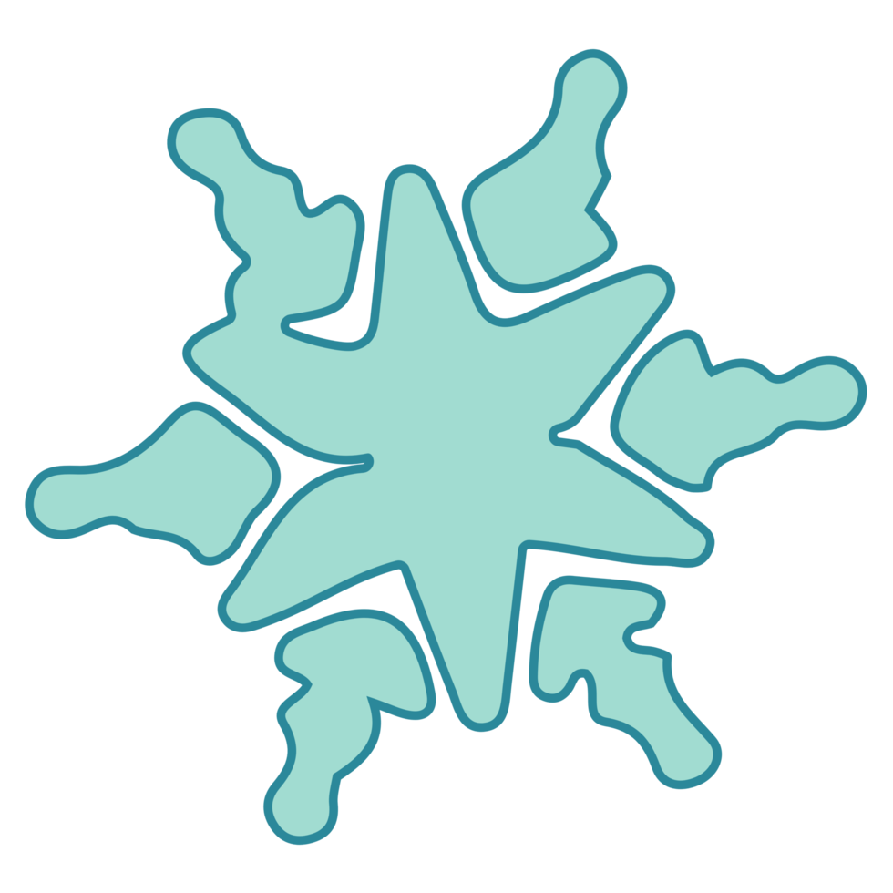 Snowflake Single Element png