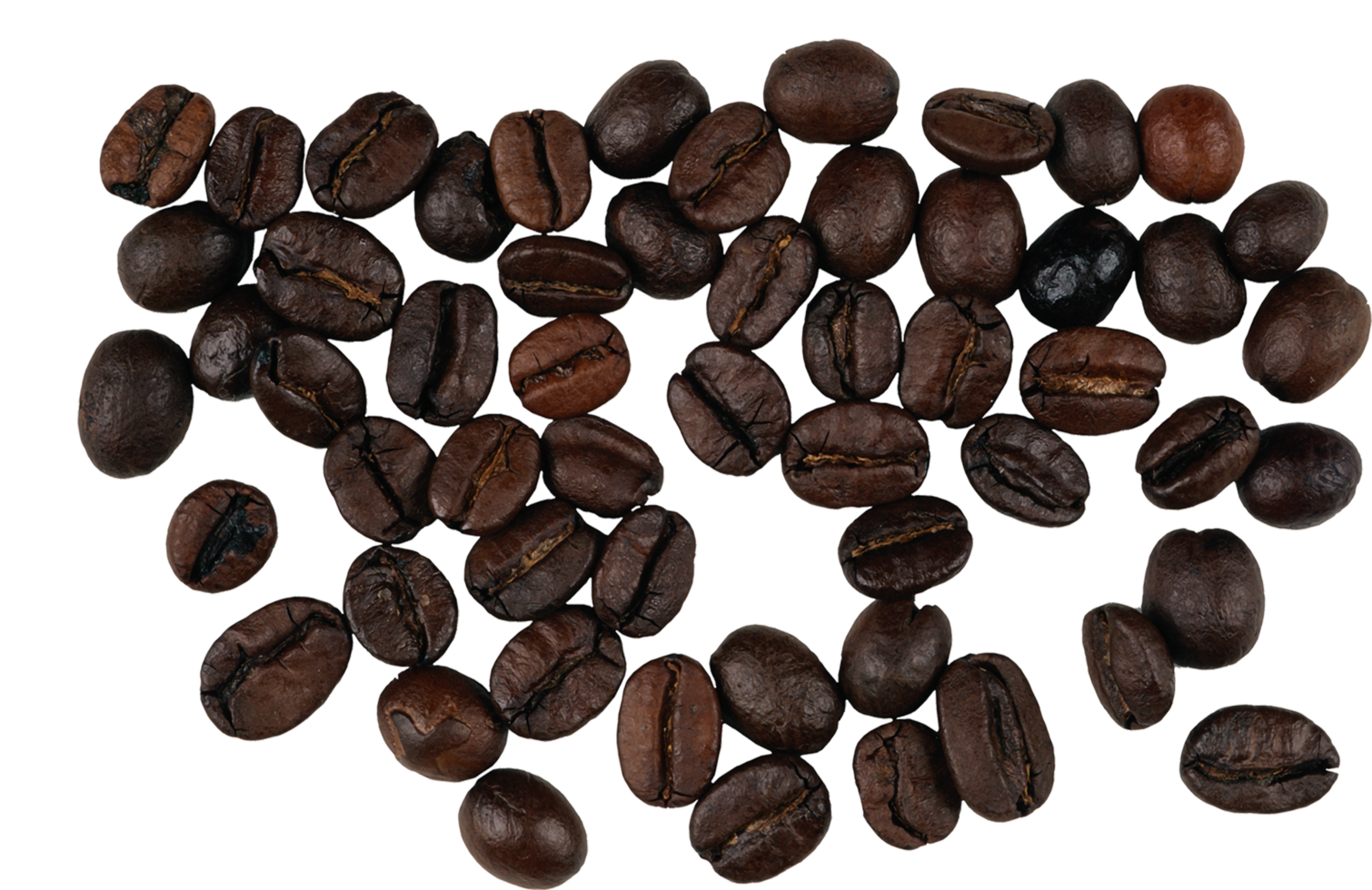 sfondo di chicchi di caffè png