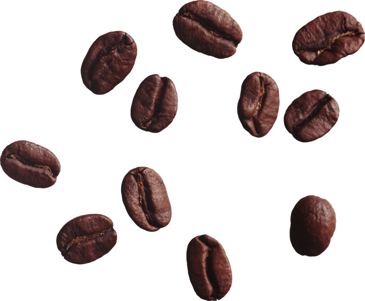 Fondo de granos de café png