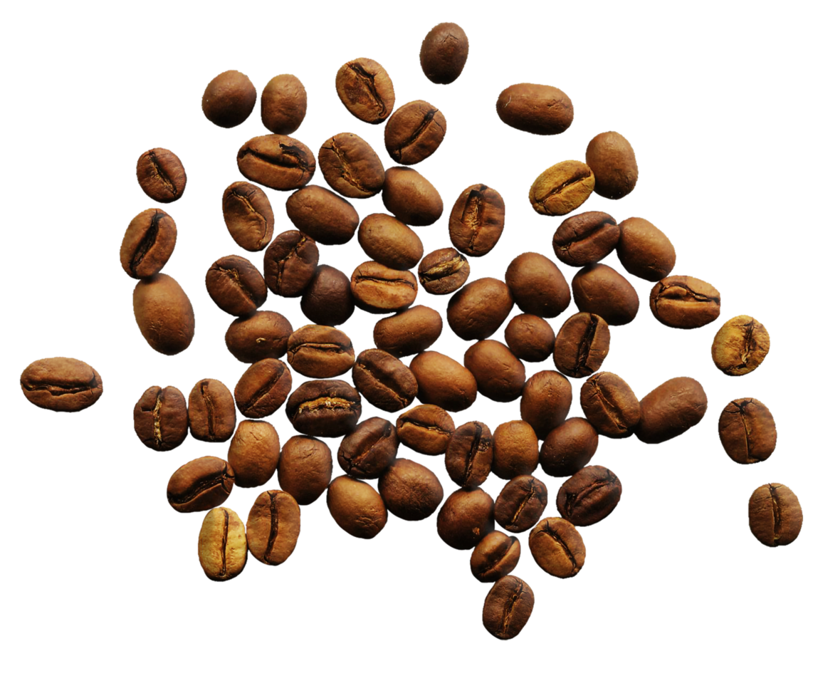 Fondo de granos de café png