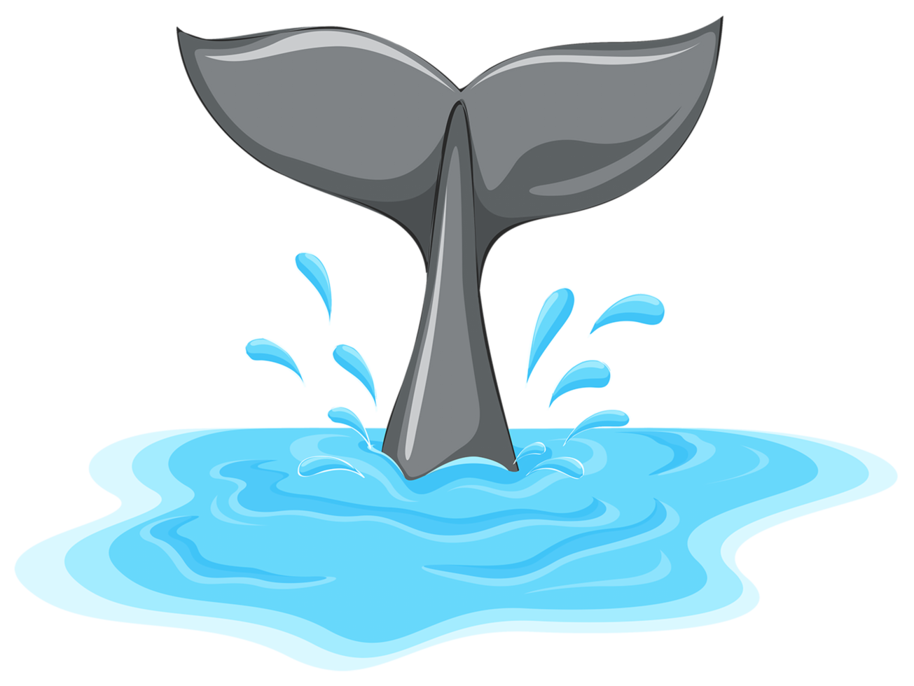 Whale Tail Transparent png