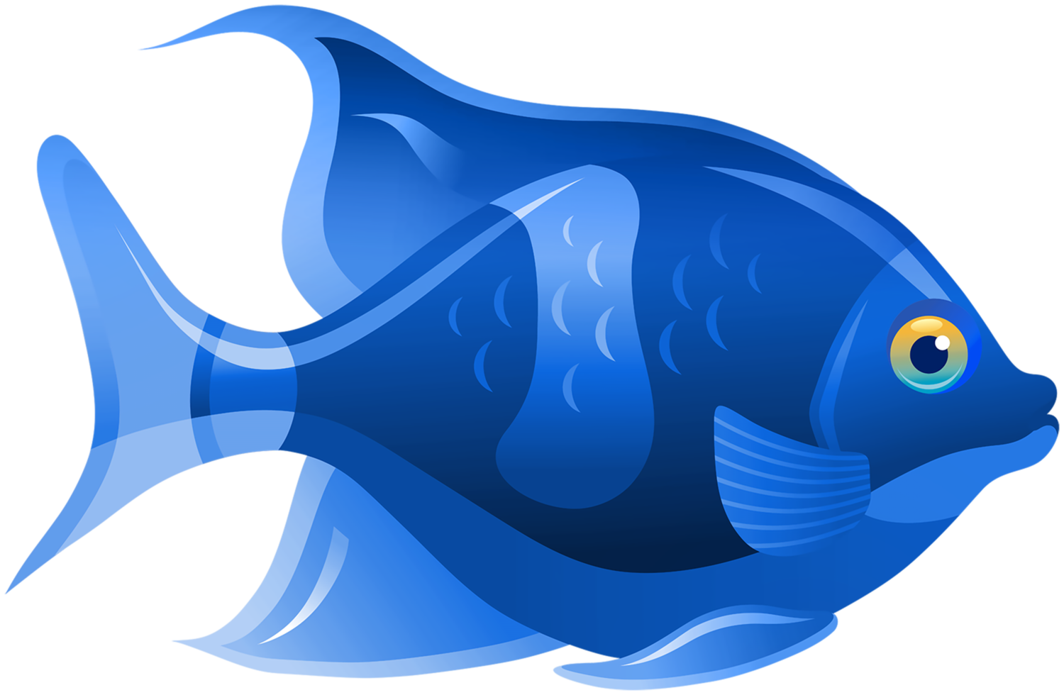 blauer Fisch transparent png