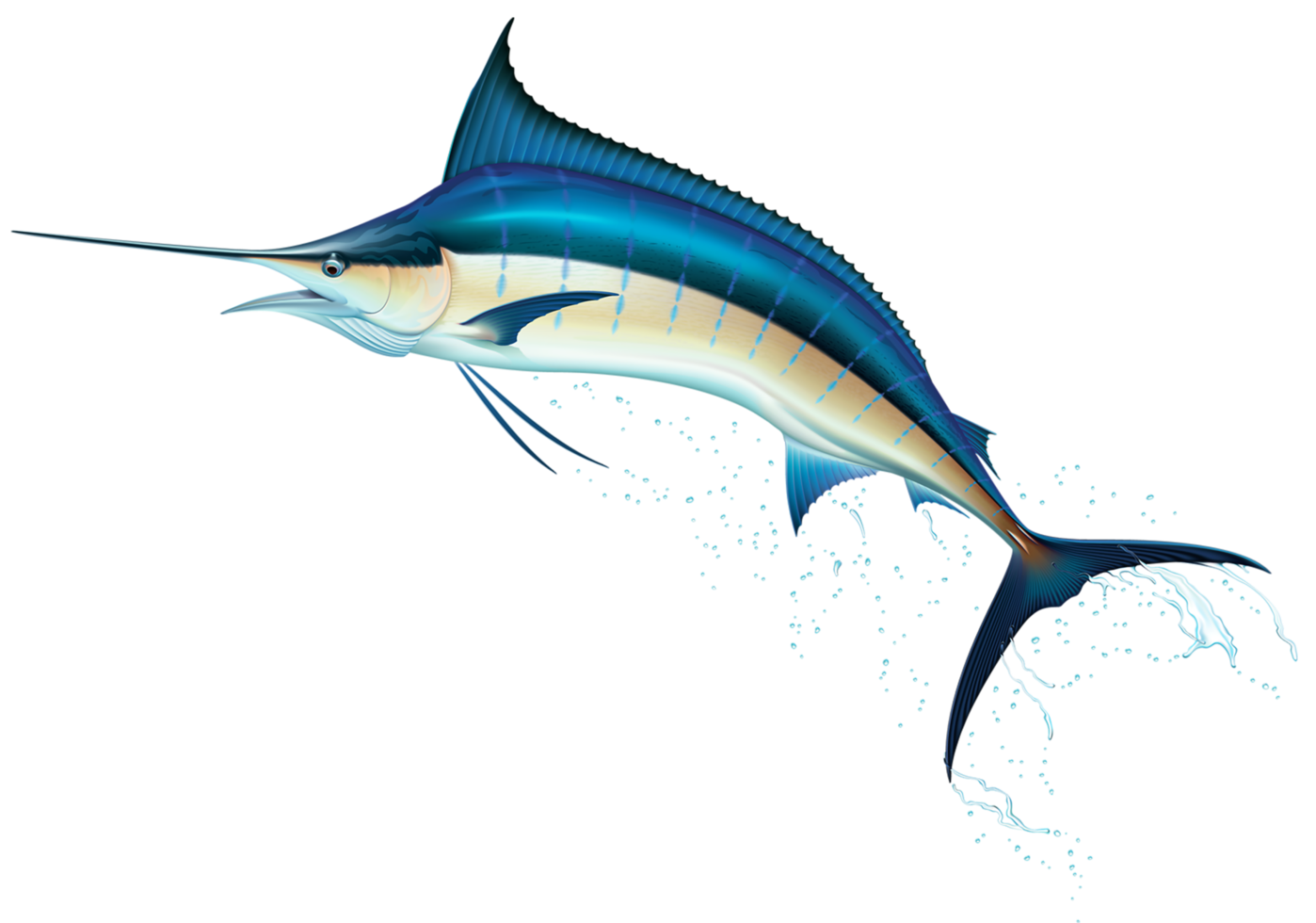 poisson épée transparent png