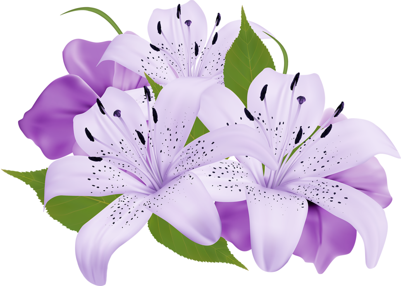 Purple Decorative Flowers png