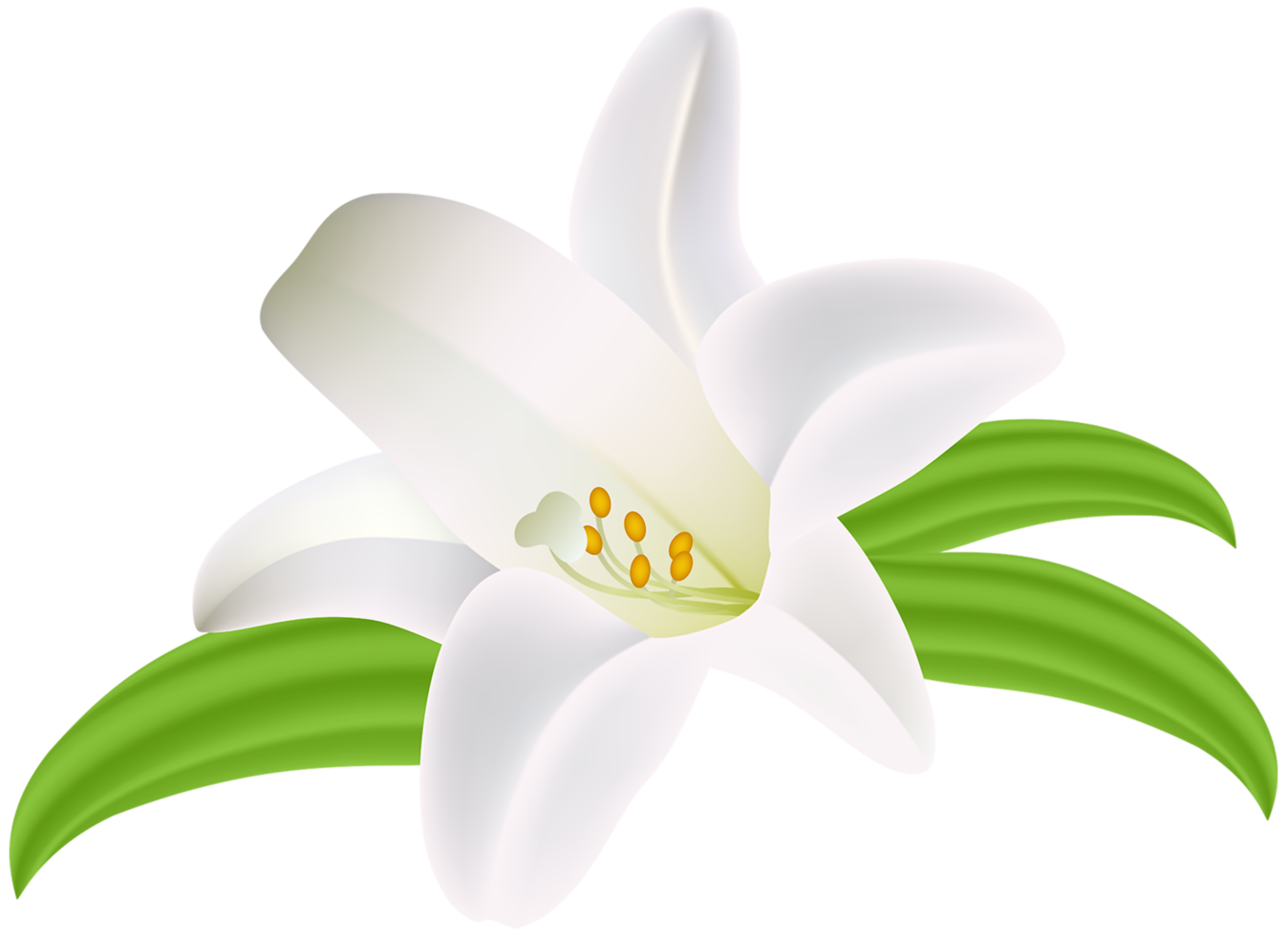 fleur de lys transparente png