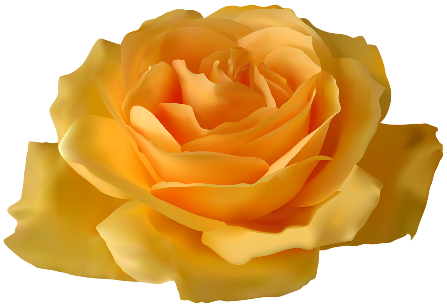 gelbe Rose transparent png