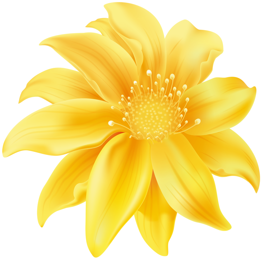 Yellow Flower Transparent png