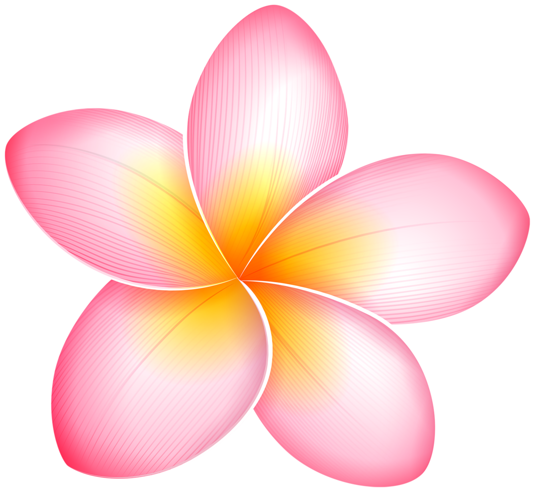 Pink Exotic Flower png